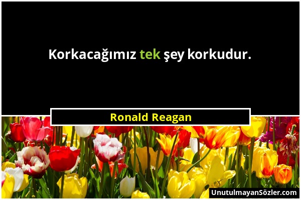 Ronald Reagan - Korkacağımız tek şey korkudur....