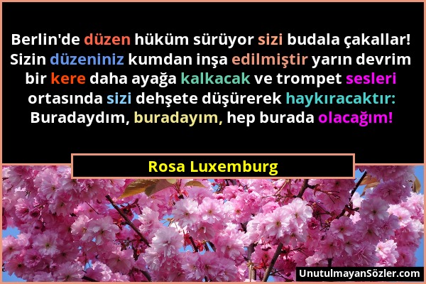Rosa Luxemburg - Berlin'de düzen hüküm sürüyor sizi budala çakallar! Sizin düzeniniz kumdan inşa edilmiştir yarın devrim bir kere daha ayağa kalkacak...