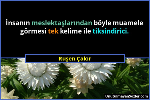 Ruşen Çakır - İnsanın meslektaşlarından böyle muamele görmesi tek kelime ile tiksindirici....