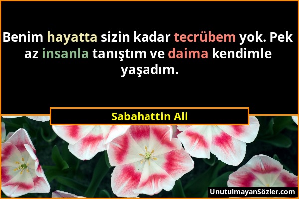 Sabahattin Ali - Benim hayatta sizin kadar tecrübem yok. Pek az insanla tanıştım ve daima kendimle yaşadım....