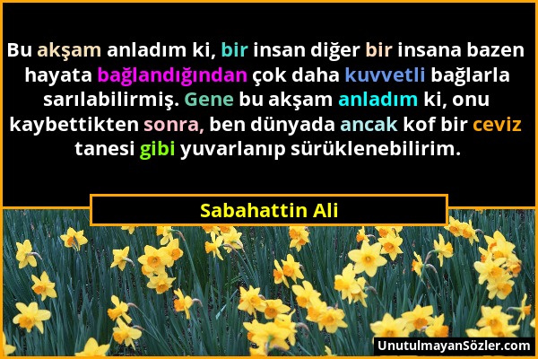 Sabahattin Ali - Bu akşam anladım ki, bir insan diğer bir insana bazen hayata bağlandığından çok daha kuvvetli bağlarla sarılabilirmiş. Gene bu akşam...