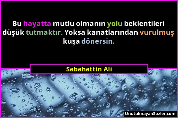 Sabahattin Ali - Bu hayatta mutlu olmanın yolu beklentileri düşük tutmaktır. Yoksa kanatlarından vurulmuş kuşa dönersin....