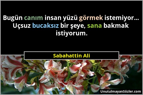 Sabahattin Ali - Bugün canım insan yüzü görmek istemiyor... Uçsuz bucaksız bir şeye, sana bakmak istiyorum....