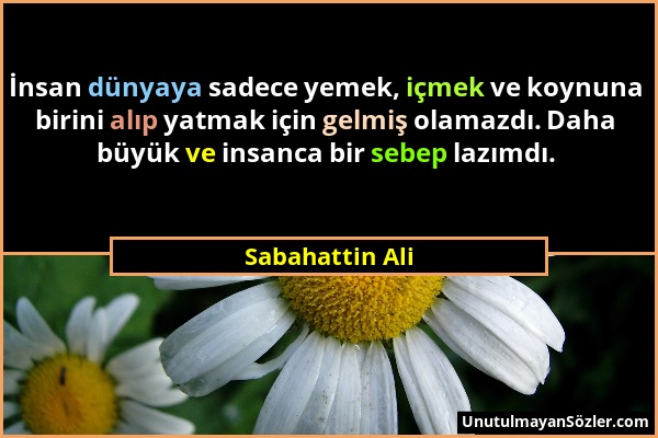 Sabahattin Ali - İnsan dünyaya sadece yemek, içmek ve koynuna birini alıp yatmak için gelmiş olamazdı. Daha büyük ve insanca bir sebep lazımdı....