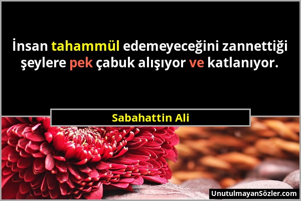 Sabahattin Ali - İnsan tahammül edemeyeceğini zannettiği şeylere pek çabuk alışıyor ve katlanıyor....