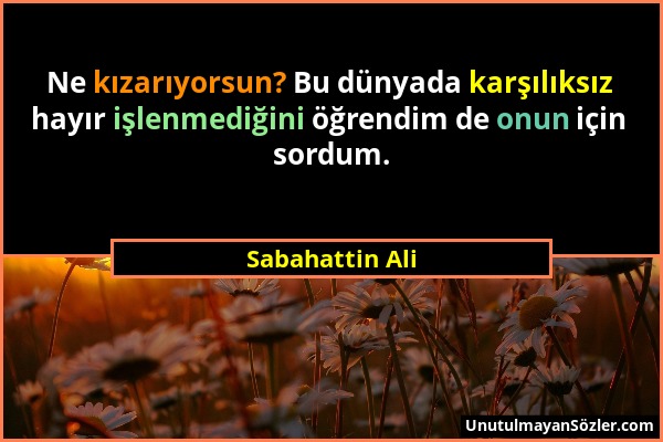 Sabahattin Ali - Ne kızarıyorsun? Bu dünyada karşılıksız hayır işlenmediğini öğrendim de onun için sordum....