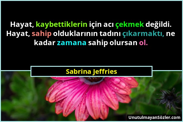 Sabrina Jeffries - Hayat, kaybettiklerin için acı çekmek değildi. Hayat, sahip olduklarının tadını çıkarmaktı, ne kadar zamana sahip olursan ol....
