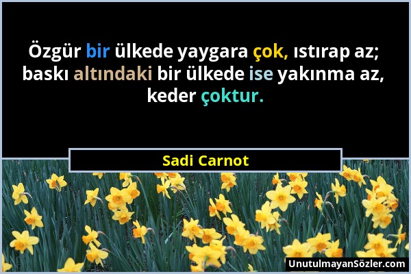 Sadi Carnot - Özgür bir ülkede yaygara çok, ıstırap az; baskı altındaki bir ülkede ise yakınma az, keder çoktur....