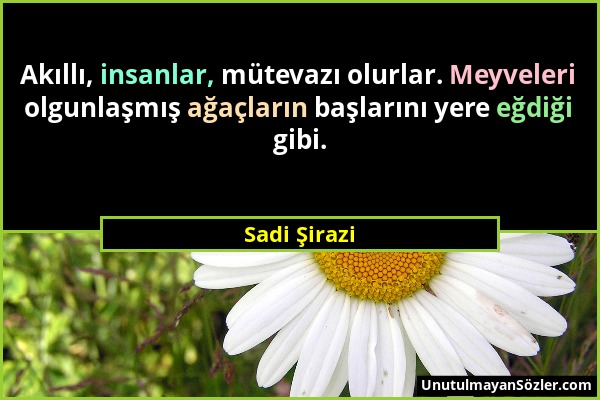 Sadi Şirazi - Akıllı, insanlar, mütevazı olurlar. Meyveleri olgunlaşmış ağaçların başlarını yere eğdiği gibi....