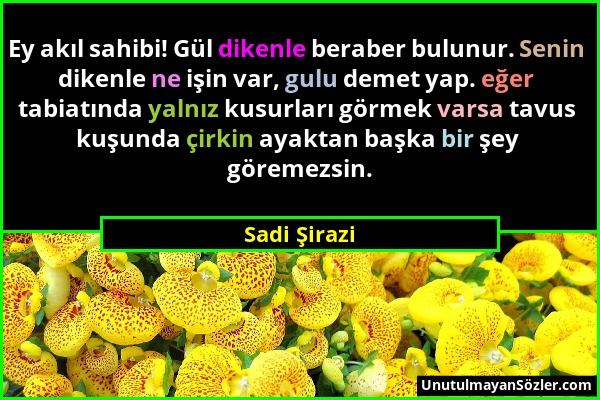 Sadi Şirazi - Ey akıl sahibi! Gül dikenle beraber bulunur. Senin dikenle ne işin var, gulu demet yap. eğer tabiatında yalnız kusurları görmek varsa ta...