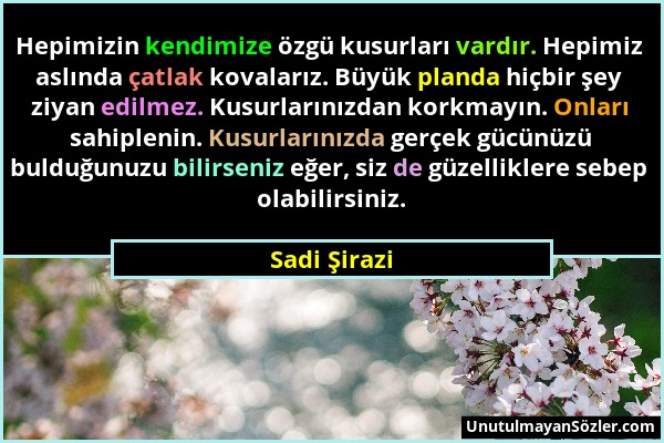 Sadi Şirazi - Hepimizin kendimize özgü kusurları vardır. Hepimiz aslında çatlak kovalarız. Büyük planda hiçbir şey ziyan edilmez. Kusurlarınızdan kork...