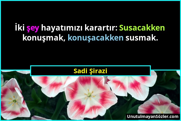 Sadi Şirazi - İki şey hayatımızı karartır: Susacakken konuşmak, konuşacakken susmak....