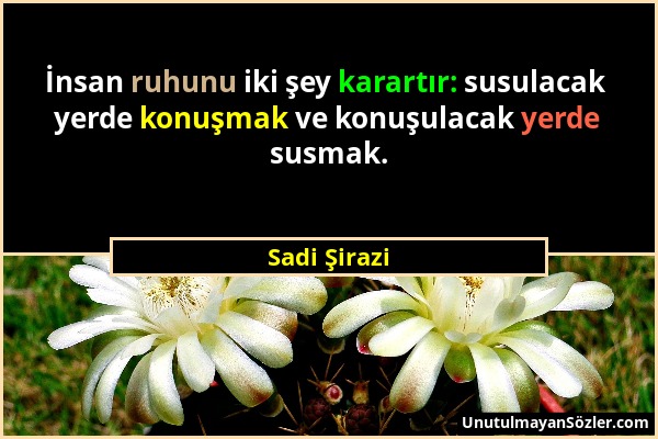 Sadi Şirazi - İnsan ruhunu iki şey karartır: susulacak yerde konuşmak ve konuşulacak yerde susmak....