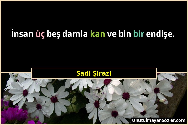 Sadi Şirazi - İnsan üç beş damla kan ve bin bir endişe....