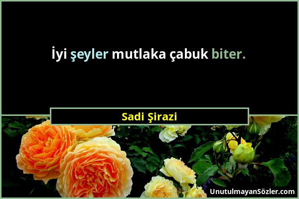 Sadi Şirazi - İyi şeyler mutlaka çabuk biter....