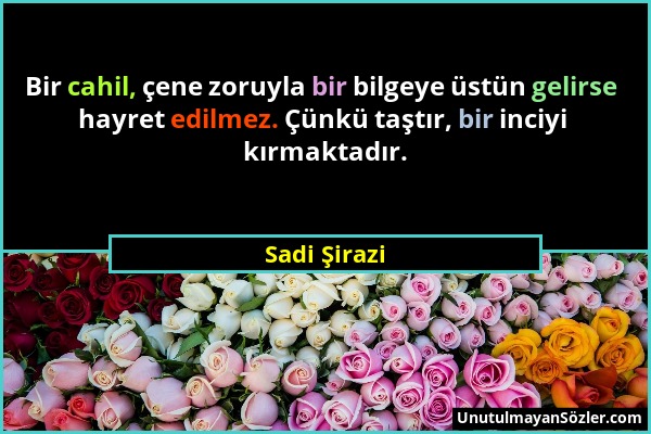 Sadi Şirazi - Bir cahil, çene zoruyla bir bilgeye üstün gelirse hayret edilmez. Çünkü taştır, bir inciyi kırmaktadır....