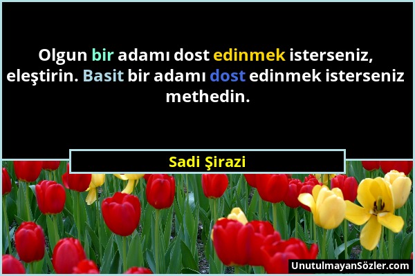 Sadi Şirazi - Olgun bir adamı dost edinmek isterseniz, eleştirin. Basit bir adamı dost edinmek isterseniz methedin....