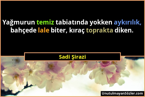 Sadi Şirazi - Yağmurun temiz tabiatında yokken aykırılık, bahçede lale biter, kıraç toprakta diken....