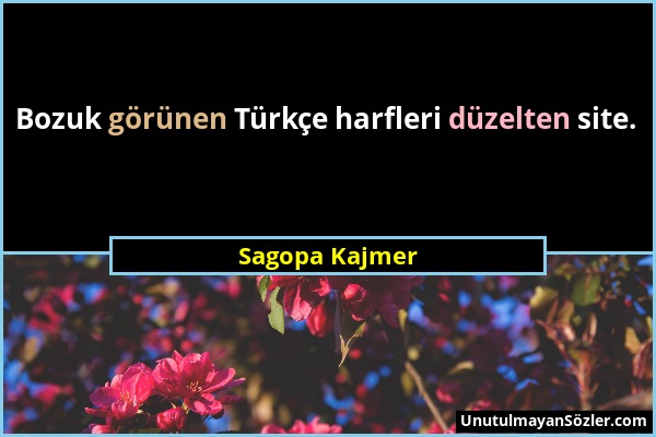 Sagopa Kajmer - Bozuk görünen Türkçe harfleri düzelten site....