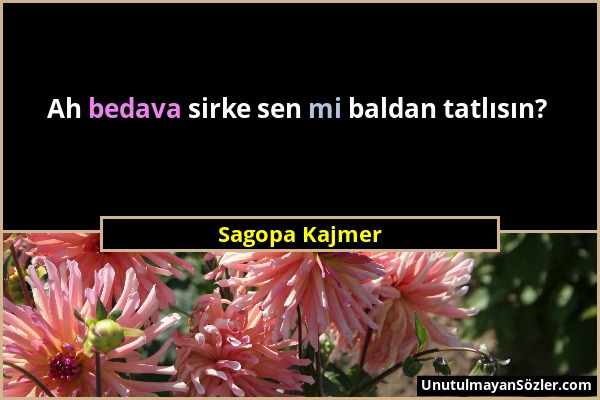 Sagopa Kajmer - Ah bedava sirke sen mi baldan tatlısın?...