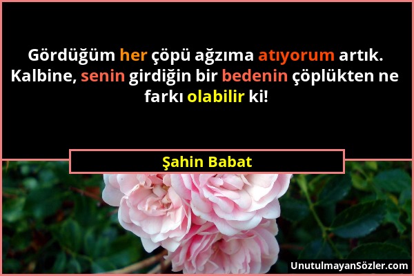 Şahin Babat - Gördüğüm her çöpü ağzıma atıyorum artık. Kalbine, senin girdiğin bir bedenin çöplükten ne farkı olabilir ki!...