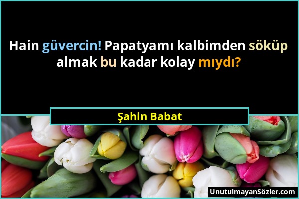 Şahin Babat - Hain güvercin! Papatyamı kalbimden söküp almak bu kadar kolay mıydı?...