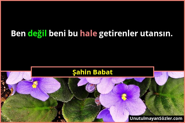 Şahin Babat - Ben değil beni bu hale getirenler utansın....