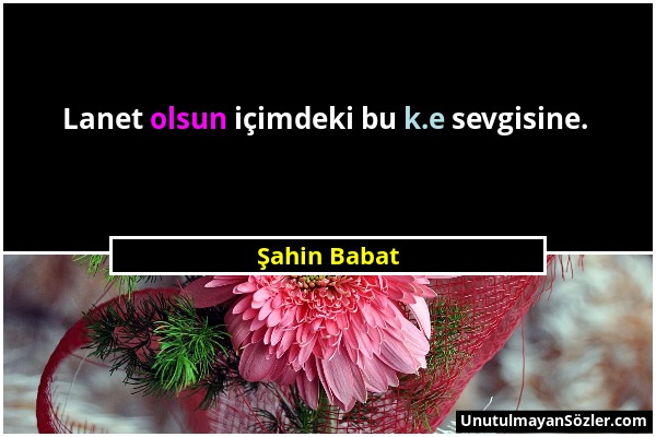 Şahin Babat - Lanet olsun içimdeki bu k.e sevgisine....