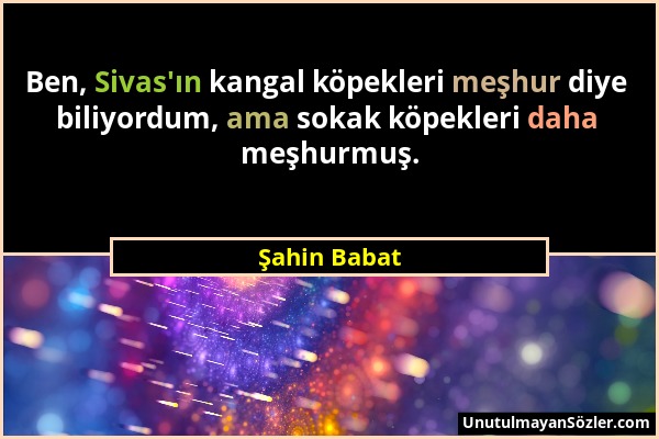 Şahin Babat - Ben, Sivas'ın kangal köpekleri meşhur diye biliyordum, ama sokak köpekleri daha meşhurmuş....