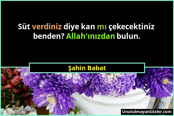 Şahin Babat - Süt verdiniz diye kan mı çekecektiniz benden? Allah'ınızdan bulun....