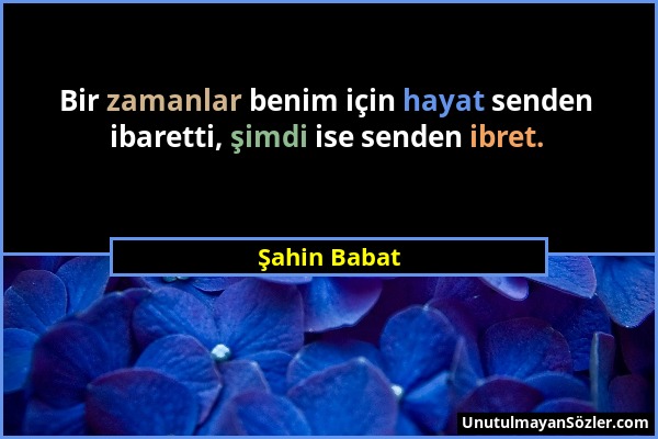 Şahin Babat - Bir zamanlar benim için hayat senden ibaretti, şimdi ise senden ibret....