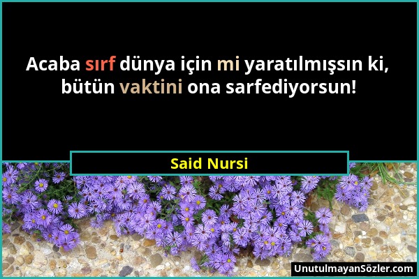 Said Nursi - Acaba sırf dünya için mi yaratılmışsın ki, bütün vaktini ona sarfediyorsun!...