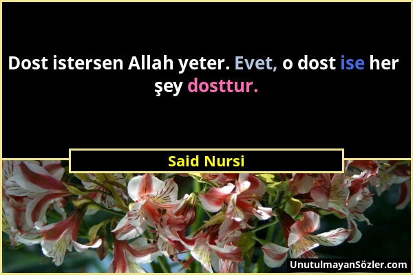 Said Nursi - Dost istersen Allah yeter. Evet, o dost ise her şey dosttur....