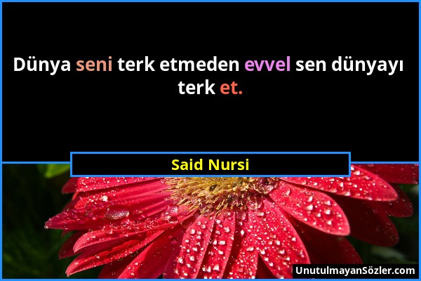 Said Nursi - Dünya seni terk etmeden evvel sen dünyayı terk et....