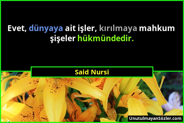 Said Nursi - Evet, dünyaya ait işler, kırılmaya mahkum şişeler hükmündedir....