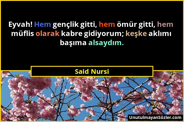 Said Nursi - Eyvah! Hem gençlik gitti, hem ömür gitti, hem müflis olarak kabre gidiyorum; keşke aklımı başıma alsaydım....