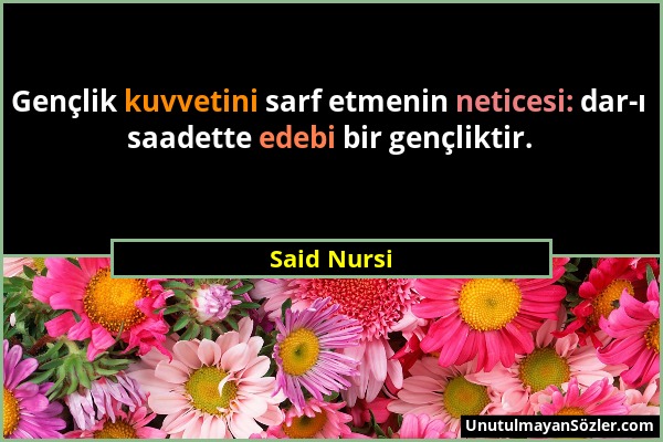 Said Nursi - Gençlik kuvvetini sarf etmenin neticesi: dar-ı saadette edebi bir gençliktir....