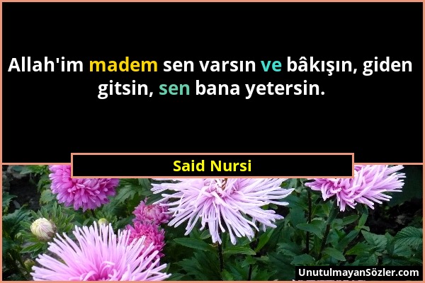 Said Nursi - Allah'im madem sen varsın ve bâkışın, giden gitsin, sen bana yetersin....