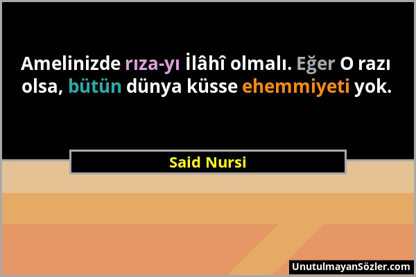 Said Nursi - Amelinizde rıza-yı İlâhî olmalı. Eğer O razı olsa, bütün dünya küsse ehemmiyeti yok....