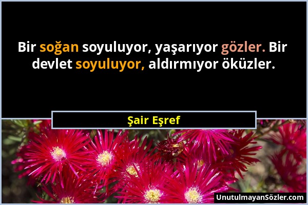 Şair Eşref - Bir soğan soyuluyor, yaşarıyor gözler. Bir devlet soyuluyor, aldırmıyor öküzler....