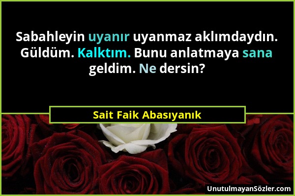 Sait Faik Abasıyanık - Sabahleyin uyanır uyanmaz aklımdaydın. Güldüm. Kalktım. Bunu anlatmaya sana geldim. Ne dersin?...