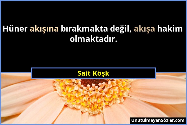 Sait Köşk - Hüner akışına bırakmakta değil, akışa hakim olmaktadır....