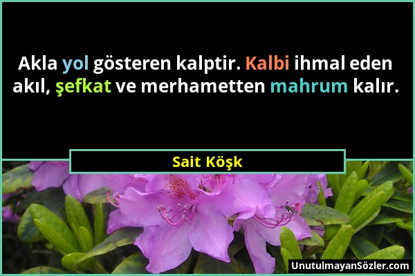 Sait Köşk - Akla yol gösteren kalptir. Kalbi ihmal eden akıl, şefkat ve merhametten mahrum kalır....