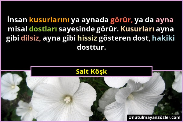 Sait Köşk - İnsan kusurlarını ya aynada görür, ya da ayna misal dostları sayesinde görür. Kusurları ayna gibi dilsiz, ayna gibi hissiz gösteren dost,...