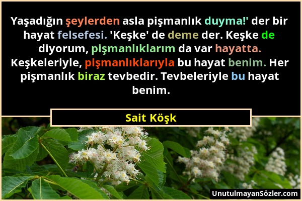 Sait Köşk - Yaşadığın şeylerden asla pişmanlık duyma!' der bir hayat felsefesi. 'Keşke' de deme der. Keşke de diyorum, pişmanlıklarım da var hayatta....