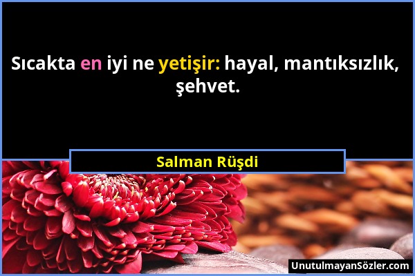 Salman Rüşdi - Sıcakta en iyi ne yetişir: hayal, mantıksızlık, şehvet....