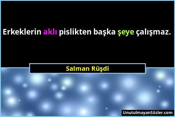 Salman Rüşdi - Erkeklerin aklı pislikten başka şeye çalışmaz....