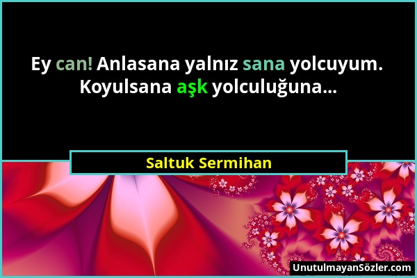 Saltuk Sermihan - Ey can! Anlasana yalnız sana yolcuyum. Koyulsana aşk yolculuğuna......