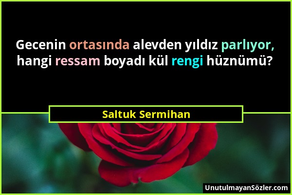 Saltuk Sermihan - Gecenin ortasında alevden yıldız parlıyor, hangi ressam boyadı kül rengi hüznümü?...