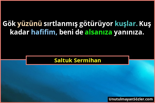 Saltuk Sermihan - Gök yüzünü sırtlanmış götürüyor kuşlar. Kuş kadar hafifim, beni de alsanıza yanınıza....